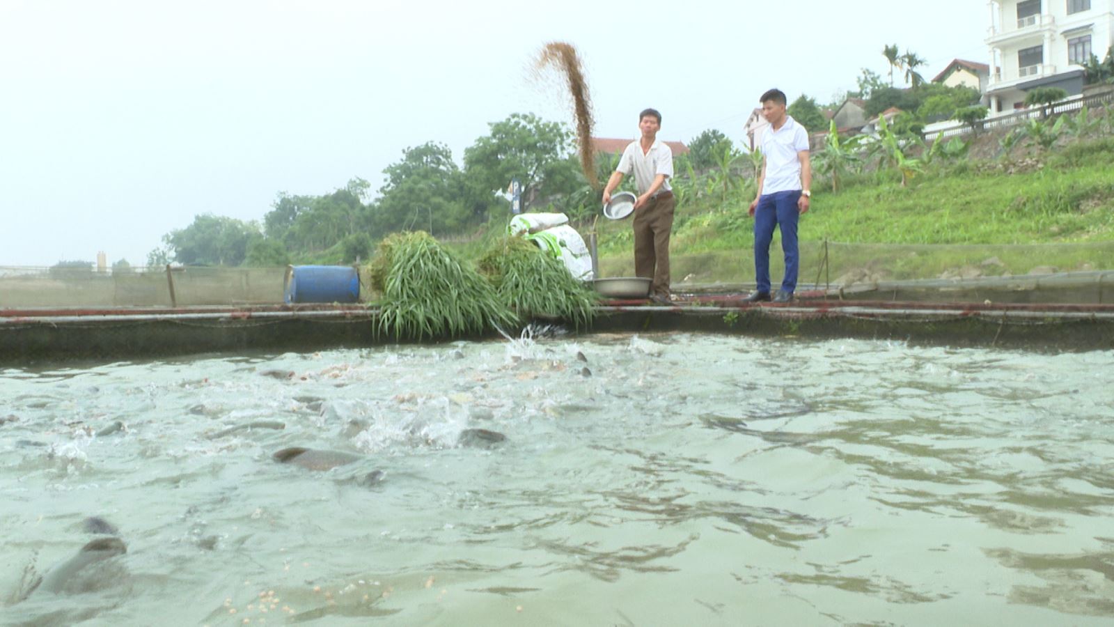 Nông dân Việt Trì với phong trào thi đua sản xuất kinh doanh giỏi